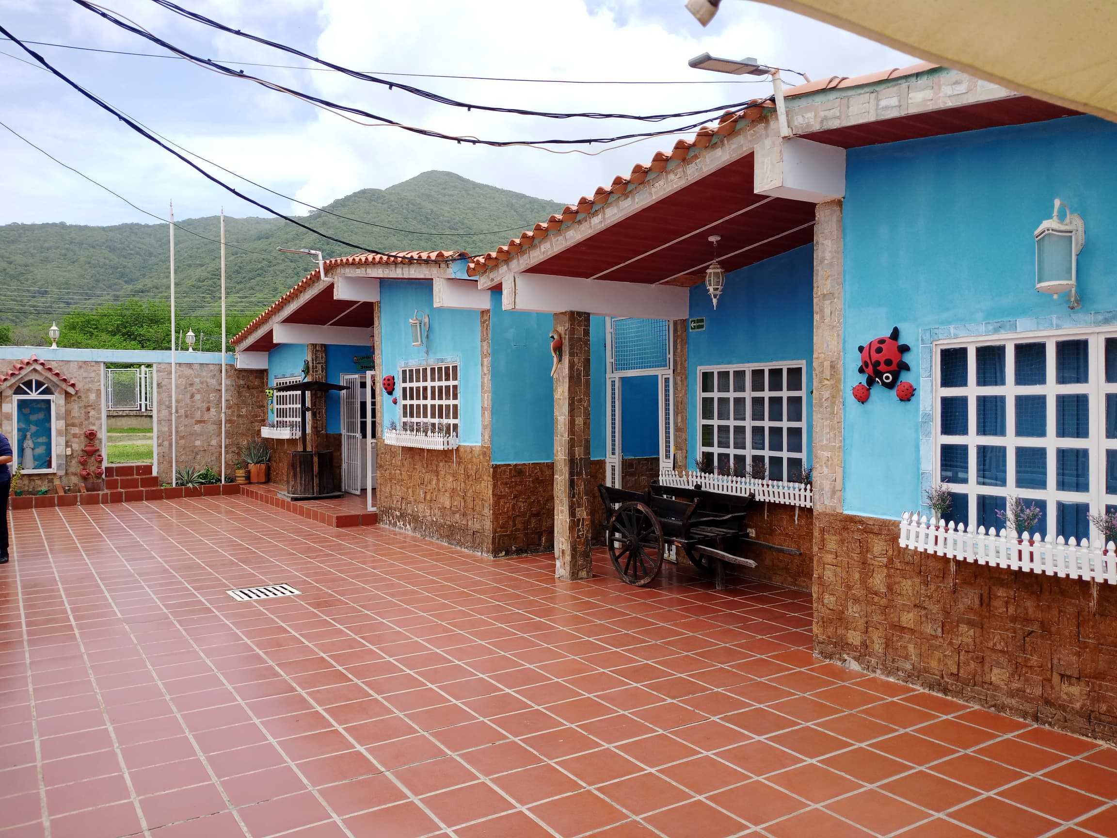 Historia del Colegio